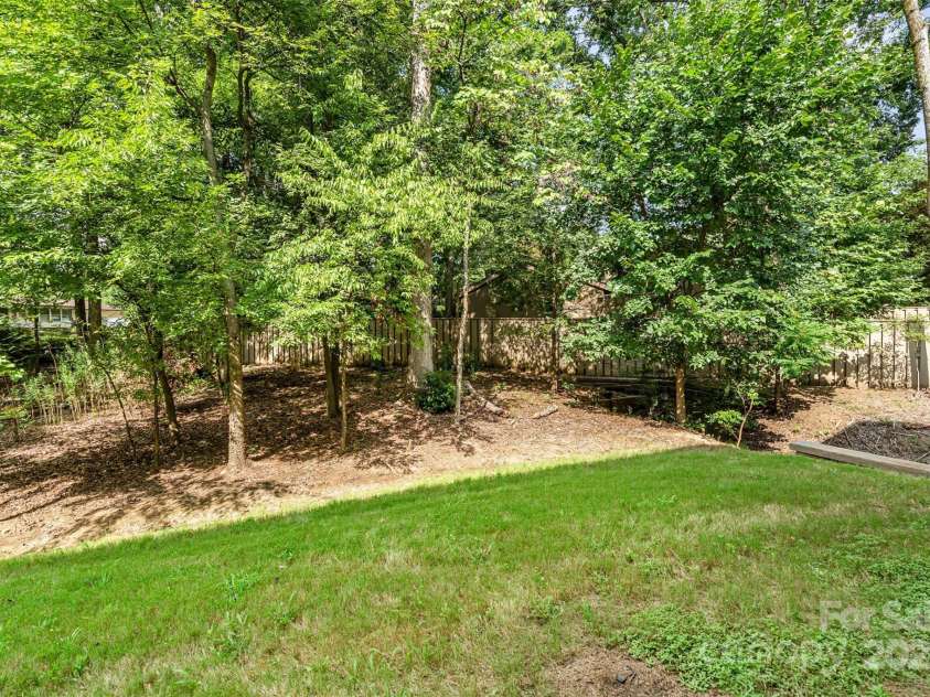 5025 Catterick Court, Charlotte, NC 28226.  MLS# CAR4198867, YatesRealty ID 33867. Backyard view of Mature Trees