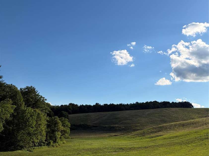 1779 Round Hill Church Road, Traphill, NC 28685.  MLS# CAR4395711, YatesRealty ID 33870. 