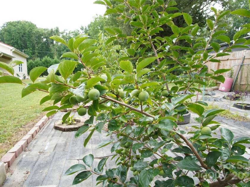 3974 Pleasant Plains Road, Matthews, NC 28104.  MLS# CAR4281444, YatesRealty ID 33878. Persimmons