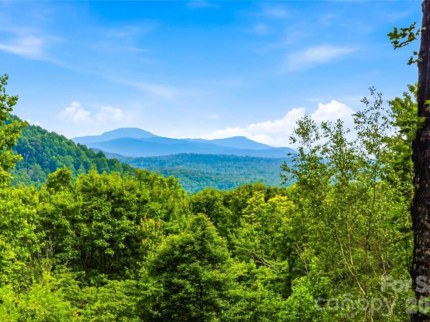 233 Tanglewood Lane, Saluda, NC 28773.  MLS# CAR4393115, YatesRealty ID 33883. View from Living Room,