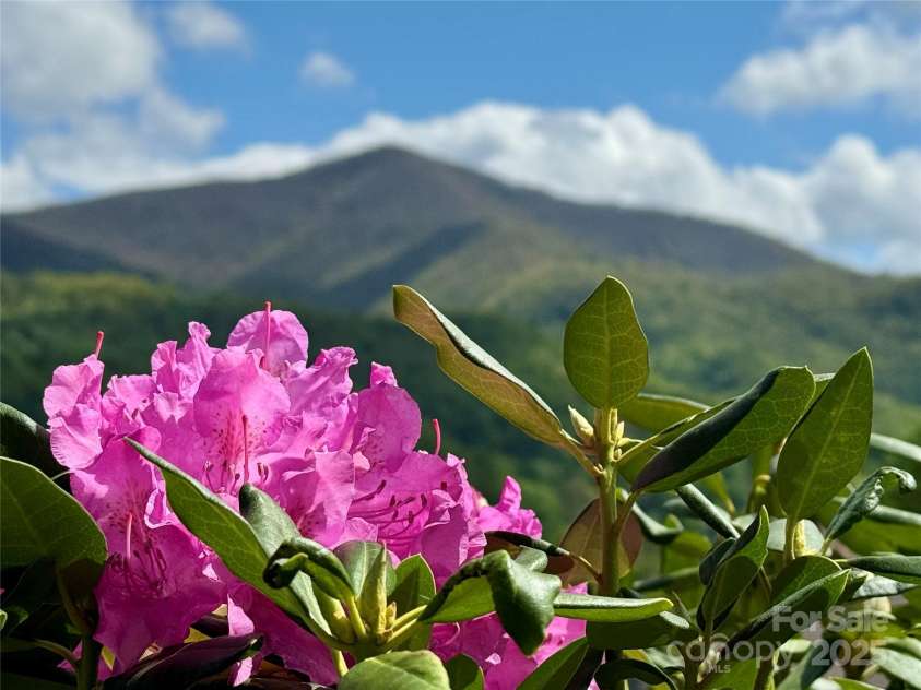 80 Sapphire Lane, Maggie Valley, NC 28751.  MLS# CAR4294569, YatesRealty ID 33916. 