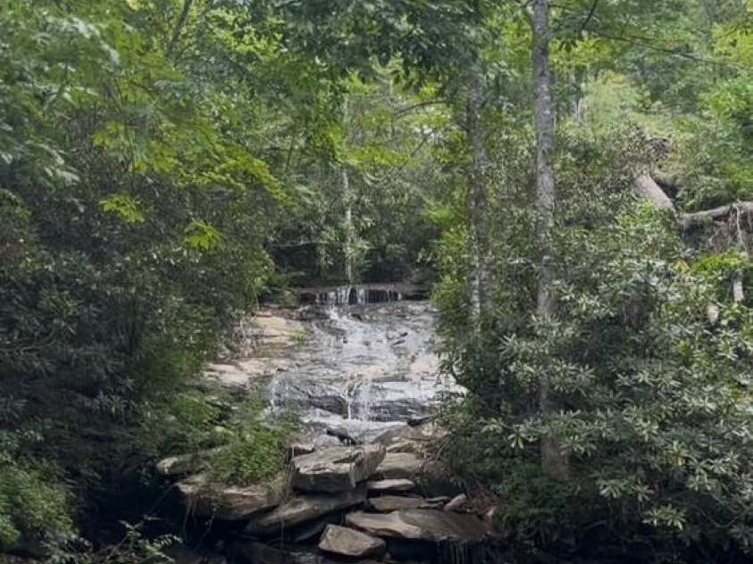 55 Lake Drive, Fairview, NC 28730.  MLS# CAR4272386, YatesRealty ID 33918. Laurel Falls is halfway up the mountain; you will see/hear en route to the house.