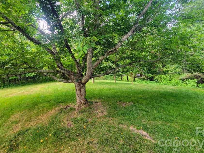 1091 WINDSWEPT RIDGE Road, Marshall, NC 28753.  MLS# CAR4393811, YatesRealty ID 33980. Side