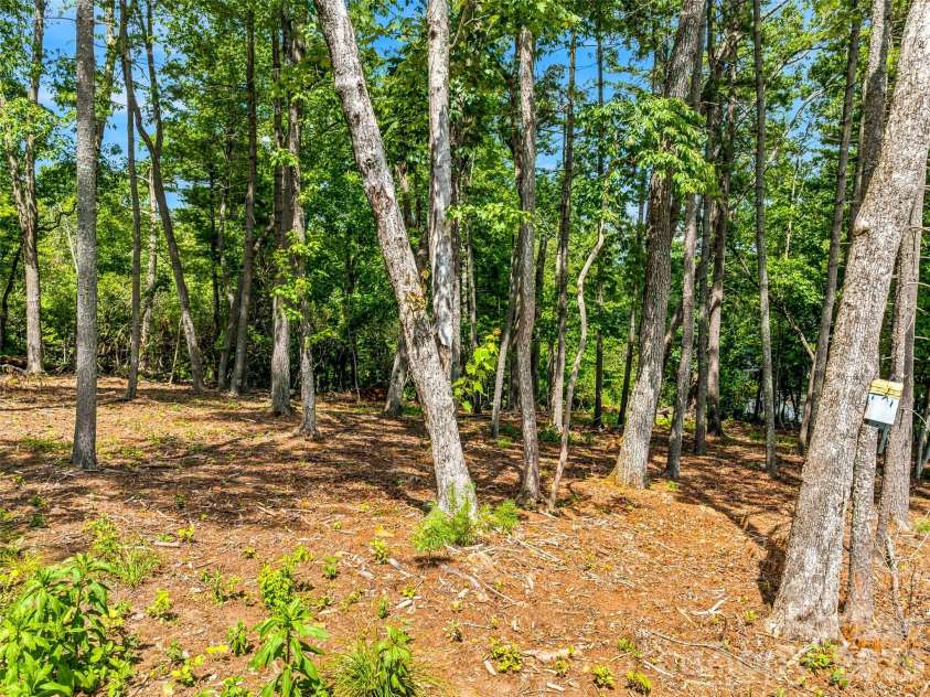 85 Powder Creek Trail, Arden, NC 28704.  MLS# CAR4396347, YatesRealty ID 34044. 