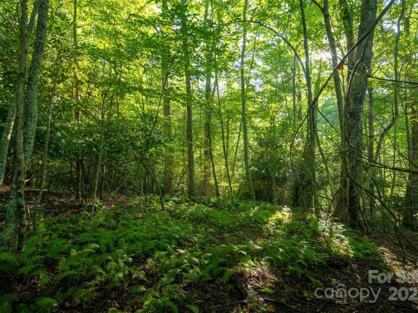 TBD Boulder Creek Drive, Boone, NC 28607.  MLS# CAR4294530, YatesRealty ID 34080. 