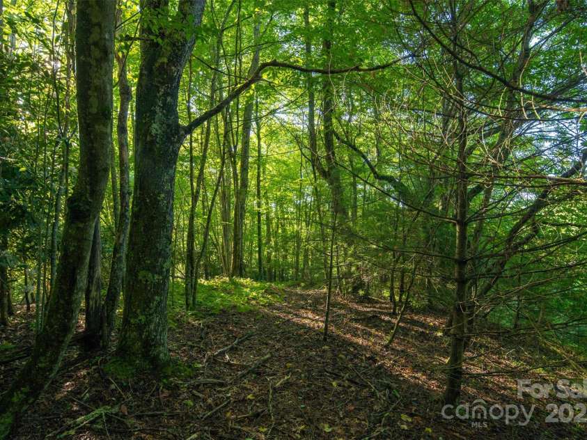 TBD Boulder Creek Drive, Boone, NC 28607.  MLS# CAR4294530, YatesRealty ID 34080. 
