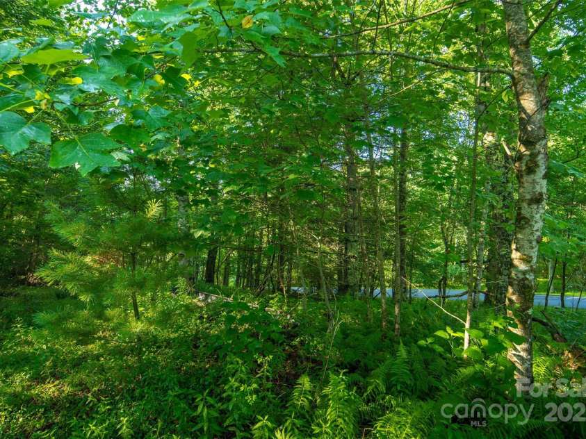 TBD Boulder Creek Drive, Boone, NC 28607.  MLS# CAR4294530, YatesRealty ID 34080. 