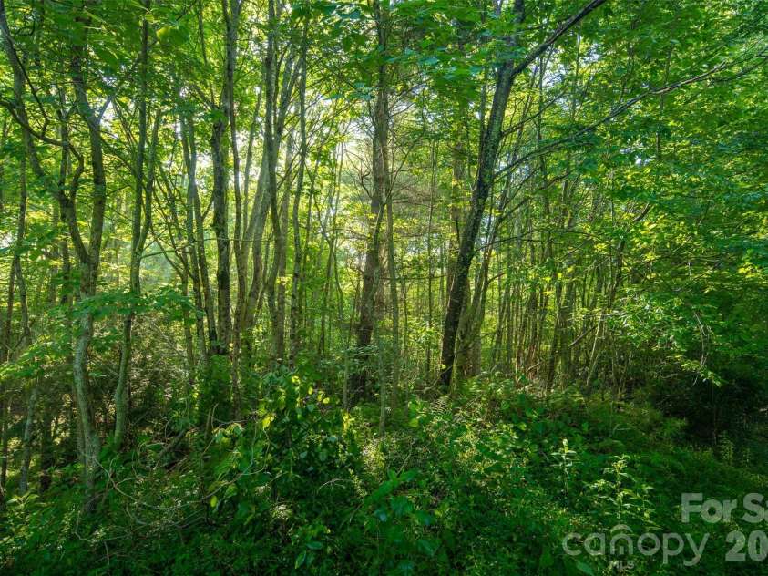 TBD Boulder Creek Drive, Boone, NC 28607.  MLS# CAR4294530, YatesRealty ID 34080. 
