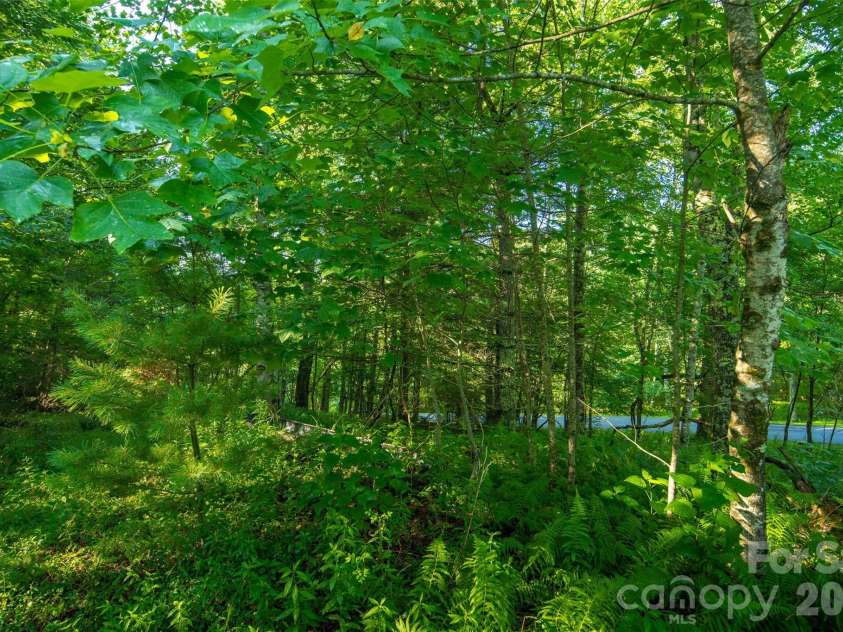 TBD Boulder Creek Drive, Boone, NC 28607.  MLS# CAR4294530, YatesRealty ID 34080. 