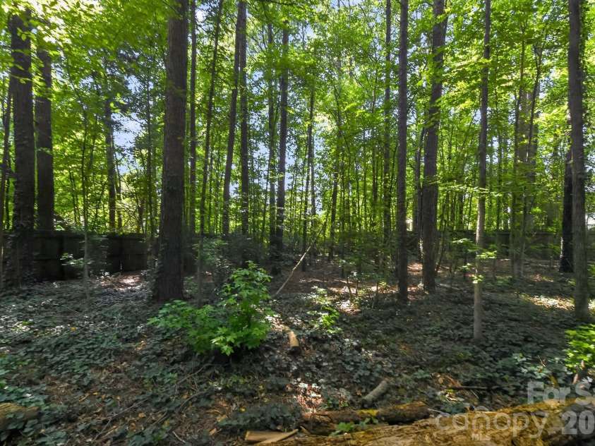 1306 Cool Mist Court, Indian Land, SC 29707.  MLS# CAR4393821, YatesRealty ID 34103. 