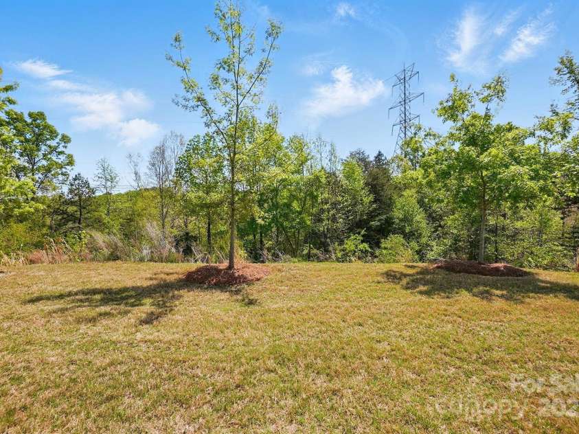 1578 Whitman Court, York, SC 29745.  MLS# CAR4247411, YatesRealty ID 34125. Backyard privacy.