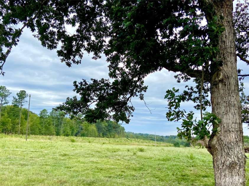 44333 Stony Gap Road, Albemarle, NC 28001.  MLS# CAR4074489, YatesRealty ID 3417. 