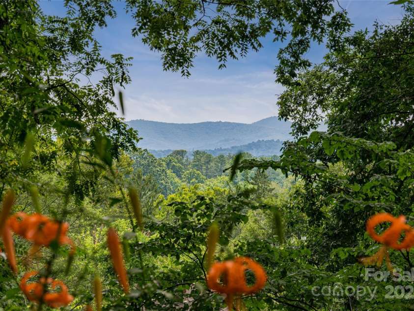 56 Lockley Avenue, Asheville, NC 28804.  MLS# CAR4294386, YatesRealty ID 34186. Views from the property