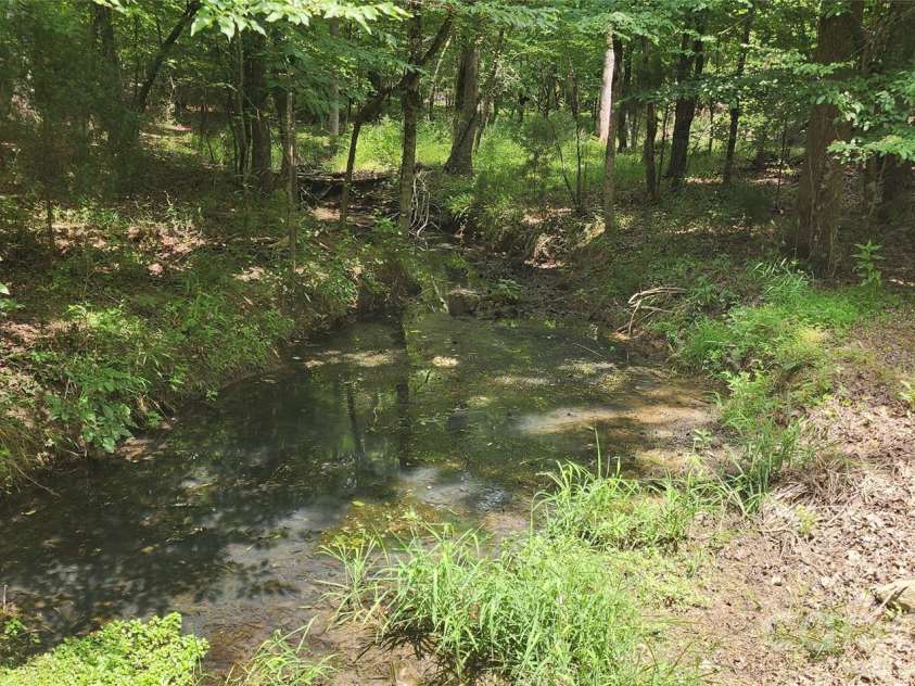 4859 Camp Creek Road, Lancaster, SC 29720.  MLS# CAR4386859, YatesRealty ID 34197. Creek