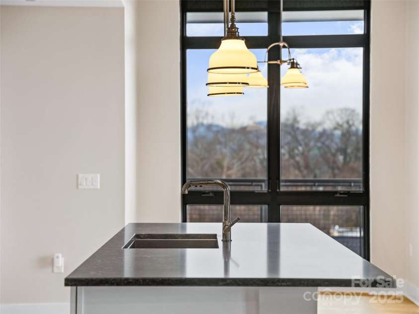 145 Biltmore Avenue, Asheville, NC 28801.  MLS# CAR4331069, YatesRealty ID 342. Nature steps right in