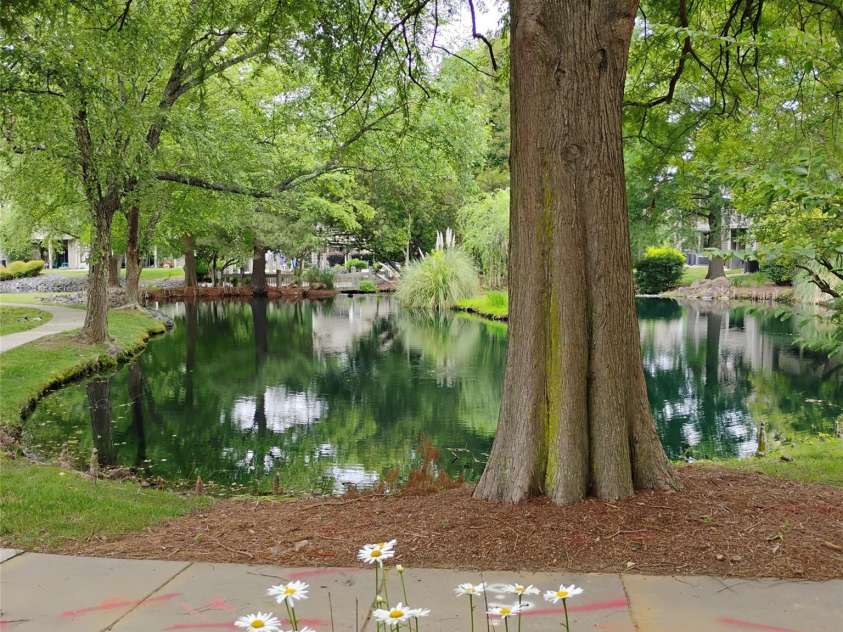 2545 Stockbridge Drive, Charlotte, NC 28210.  MLS# CAR4231252, YatesRealty ID 34208. Right off your patio