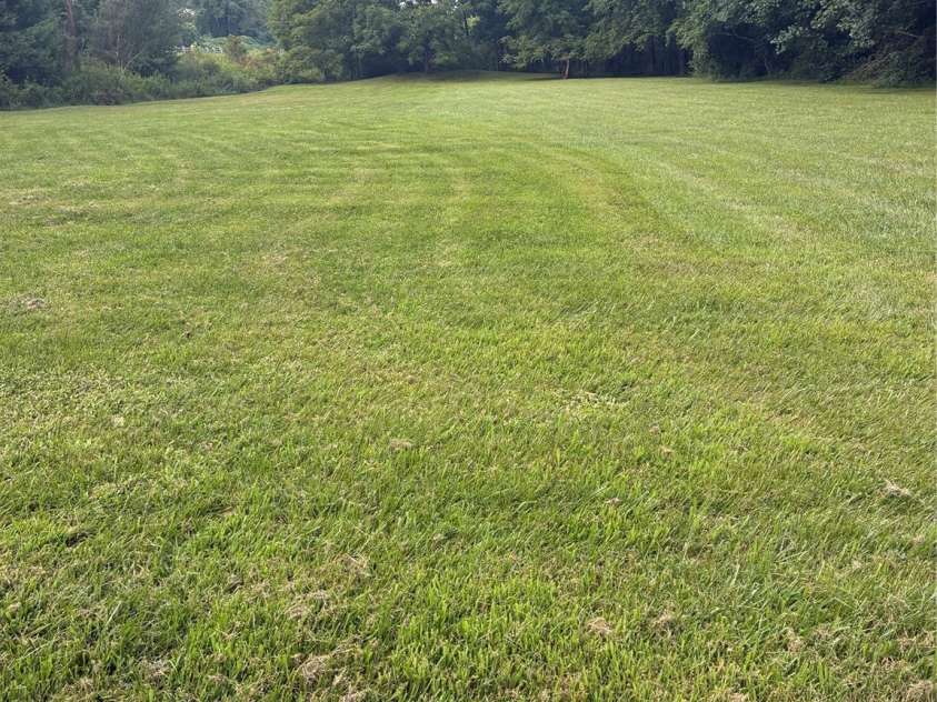 61 Rolling Hills Road, Mills River, NC 28759.  MLS# CAR4294434, YatesRealty ID 34219. 
