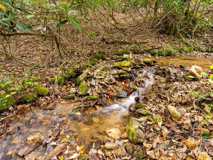 191 Ivy Way, Mars Hill, NC 28754.  MLS# CAR4308782, YatesRealty ID 3424. 