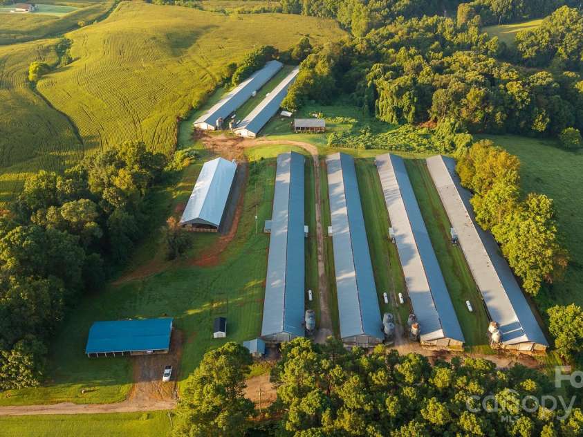 167 Buck Hollow Trail, Ararat, NC 27007.  MLS# CAR4295115, YatesRealty ID 34280. 