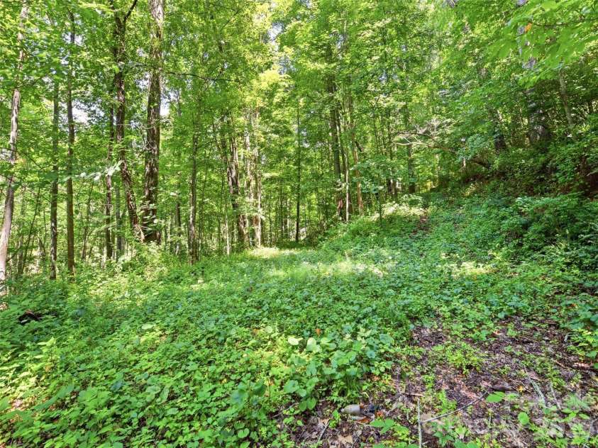 252 Big Stomp Road, Waynesville, NC 28786.  MLS# CAR4399096, YatesRealty ID 34301. 