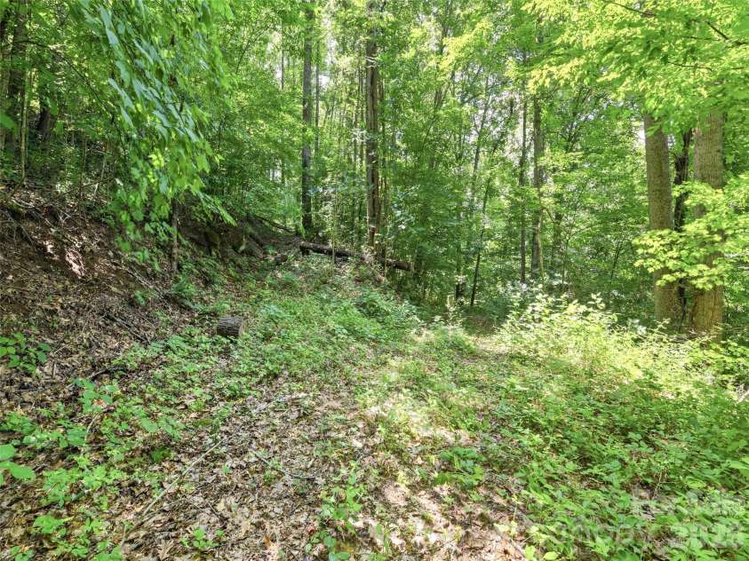 252 Big Stomp Road, Waynesville, NC 28786.  MLS# CAR4399096, YatesRealty ID 34301. 
