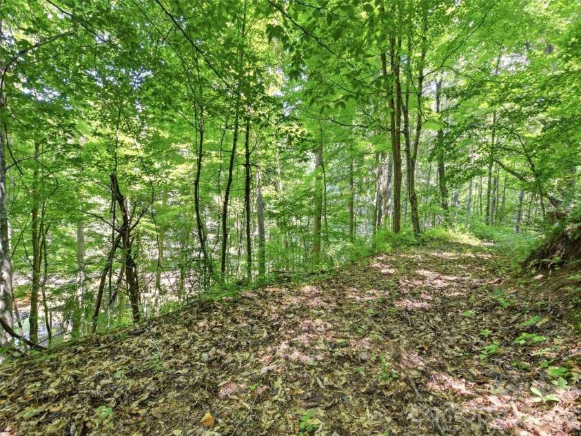 252 Big Stomp Road, Waynesville, NC 28786.  MLS# CAR4399096, YatesRealty ID 34301. 