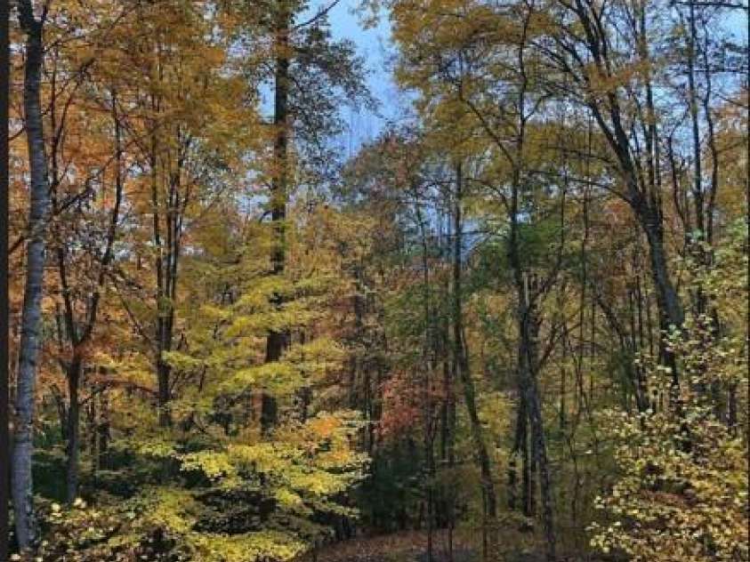 49 Brandywine Road, Waynesville, NC 28786.  MLS# CAR4395907, YatesRealty ID 34304. 