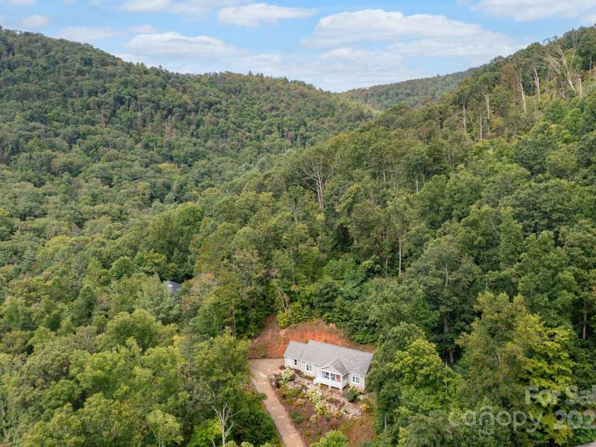 209 Patriots Drive, Asheville, NC 28805.  MLS# CAR4291919, YatesRealty ID 34321. Living in a forest with no rental restrictions.