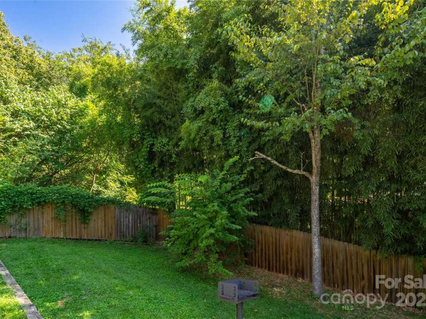56 Brevard Road, Asheville, NC 28806.  MLS# CAR4293196, YatesRealty ID 34333. Backyard