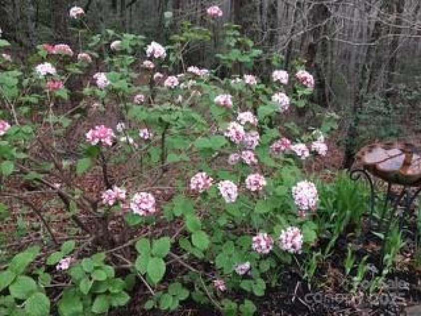 37 Wood Robin Lane, Black Mountain, NC 28711.  MLS# CAR4290952, YatesRealty ID 34398. 