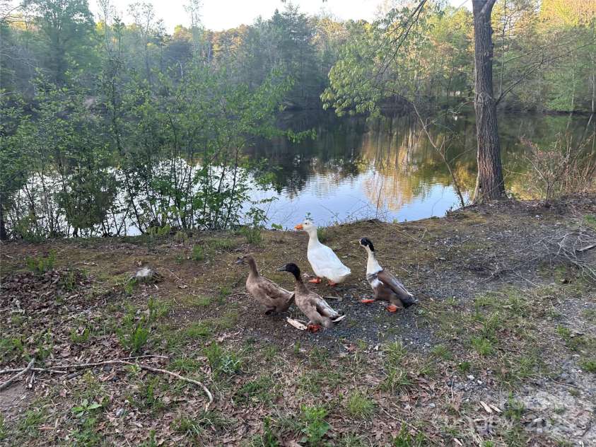 11155 Highway 52 Highway, Rockwell, NC 28138.  MLS# CAR4294147, YatesRealty ID 34400. 