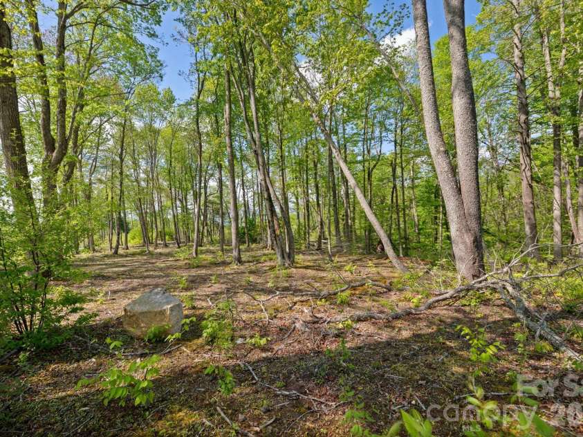 576 Eagle Springs Trail, Banner Elk, NC 28604.  MLS# CAR4383432, YatesRealty ID 34407. Lot