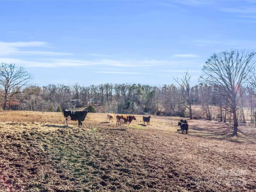 126 Waters Road, Bostic, NC 28018.  MLS# CAR4283369, YatesRealty ID 34465. 