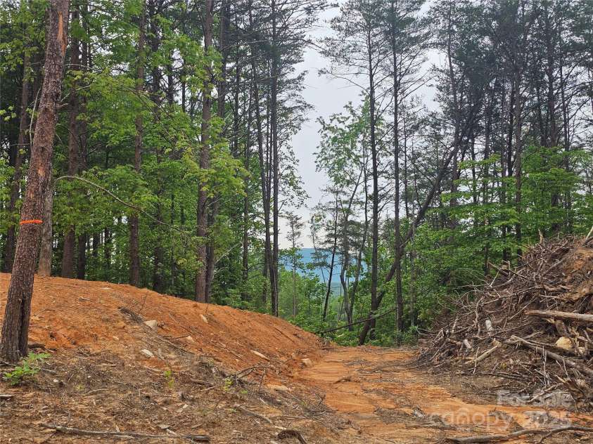 301,273 Mcginnis Drive, Old Fort, NC 28762.  MLS# CAR4290004, YatesRealty ID 34563. 