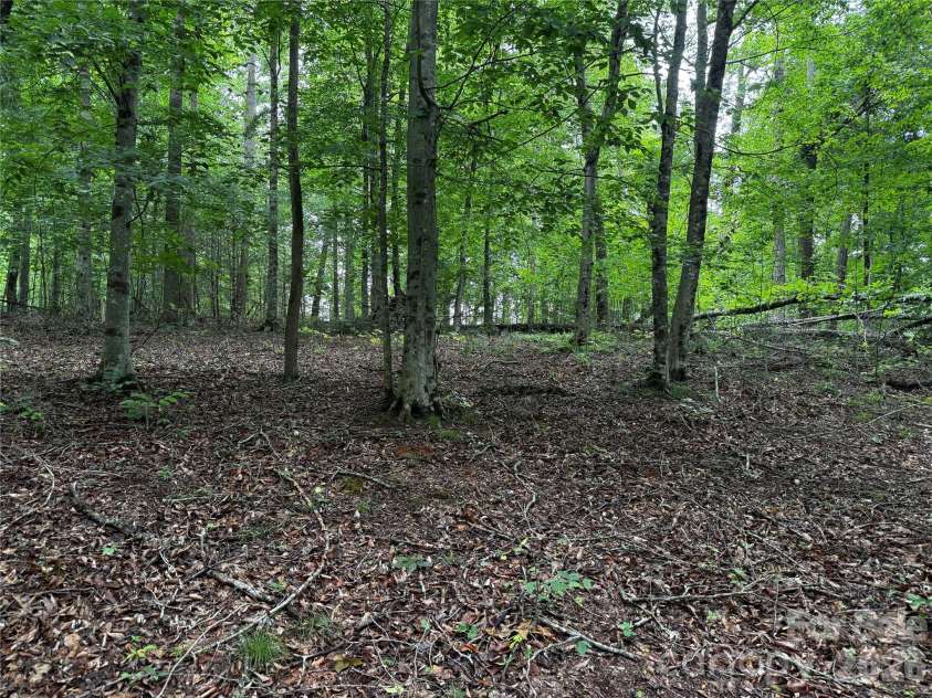1327 NC 80 Highway, Bakersville, NC 28705.  MLS# CAR4392395, YatesRealty ID 34625. Upper property