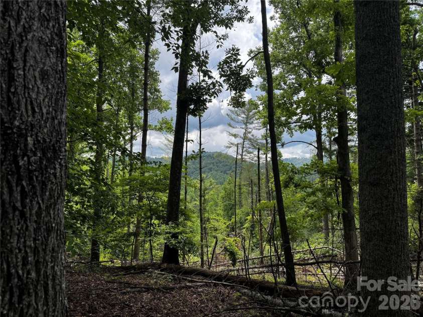 1327 NC 80 Highway, Bakersville, NC 28705.  MLS# CAR4392395, YatesRealty ID 34625. View from upper property