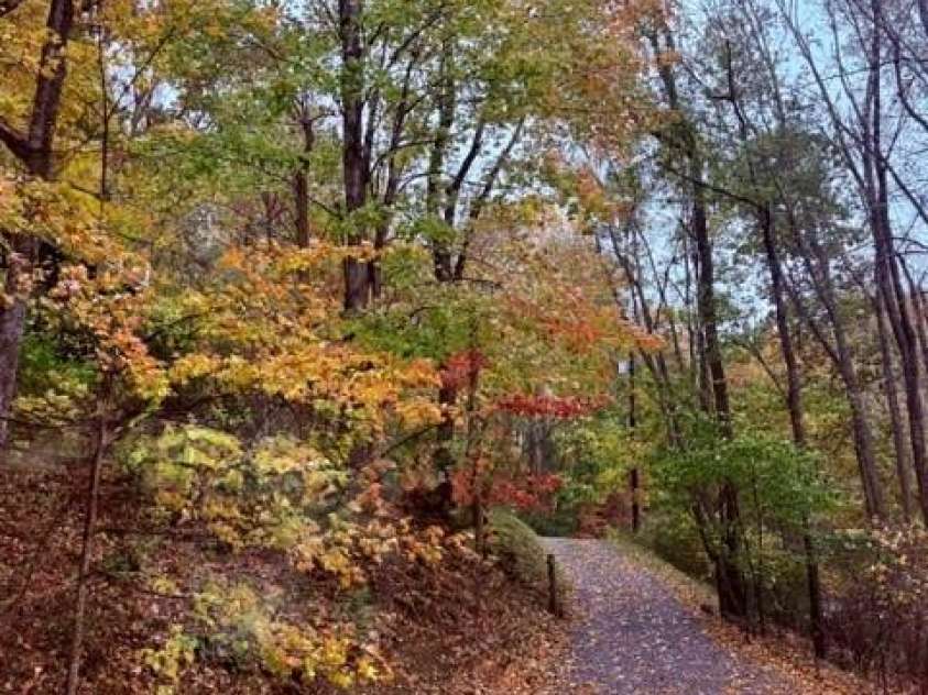 245 Greenview Drive, Maggie Valley, NC 28751.  MLS# CAR4397878, YatesRealty ID 34641. 