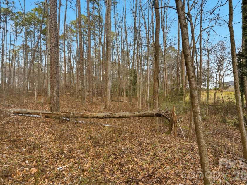 704 Border Street, Dallas, NC 28034.  MLS# CAR4342695, YatesRealty ID 3465. Wooded Vacant lots to the rear of our subject