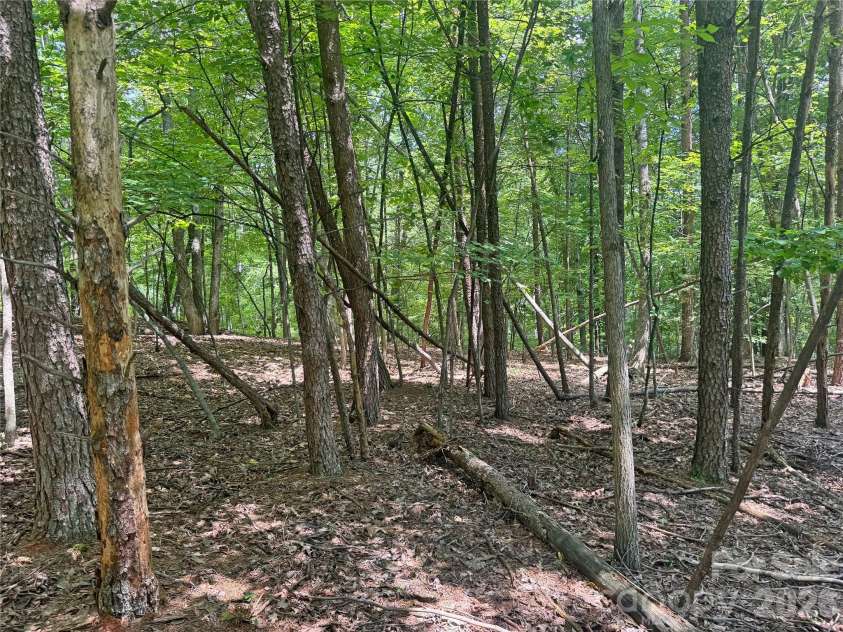 173 Croom Hollow Drive, Nebo, NC 28761.  MLS# CAR4399515, YatesRealty ID 34735. 