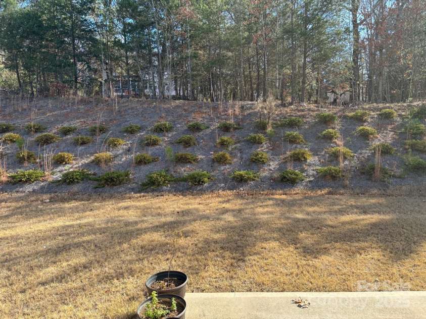 7121 Maple Run Circle, Charlotte, NC 28215.  MLS# CAR4329824, YatesRealty ID 3475. Back yard 2