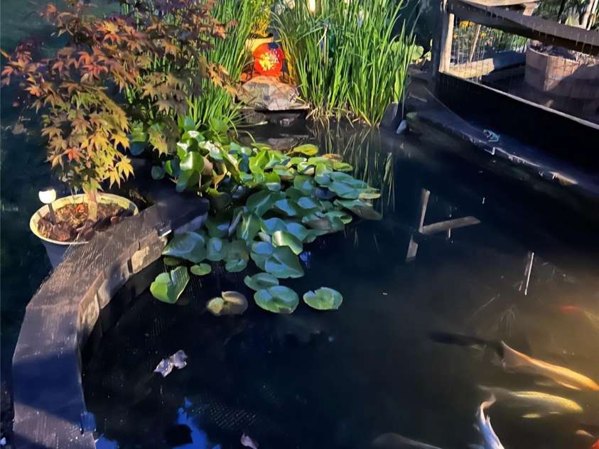 1128 Bugle Lane, Newton, NC 28658.  MLS# CAR4283923, YatesRealty ID 34846. 