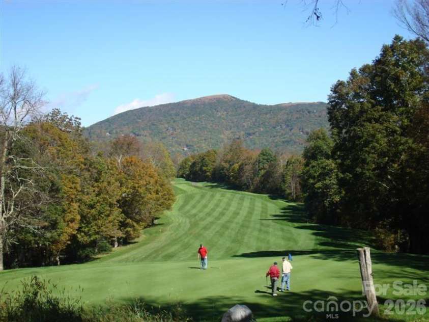 1209 Mckinney Gap Drive, Mars Hill, NC 28754.  MLS# CAR4399695, YatesRealty ID 34886. Wolf Laurel CC Golf Course