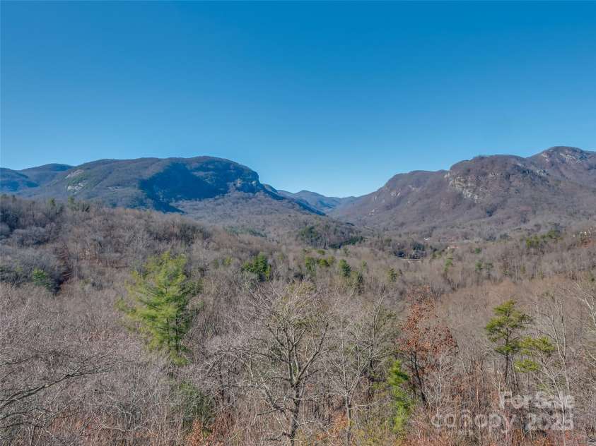 315 Thomas A Edison Road, Lake Lure, NC 28746.  MLS# CAR4287031, YatesRealty ID 349. 