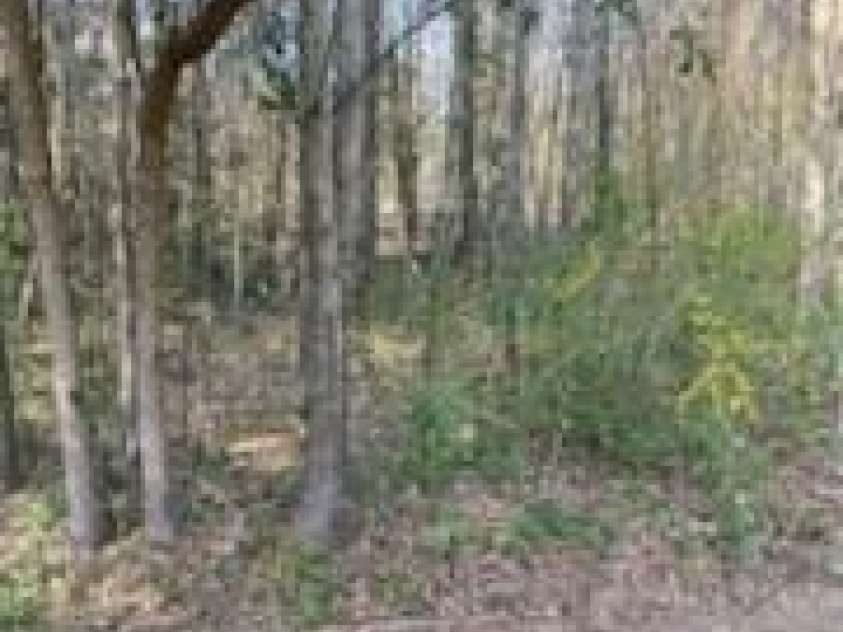 16160 Elmore Road, Laurinburg, NC 28351.  MLS# CAR4297313, YatesRealty ID 34903. 