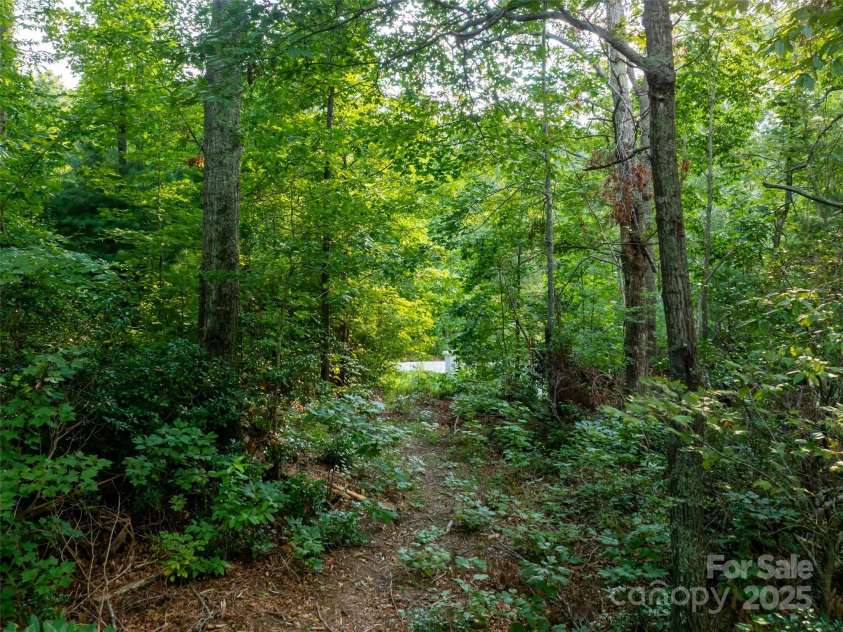 407 Melnick Terrace, Asheville, NC 28803.  MLS# CAR4296662, YatesRealty ID 34937. 