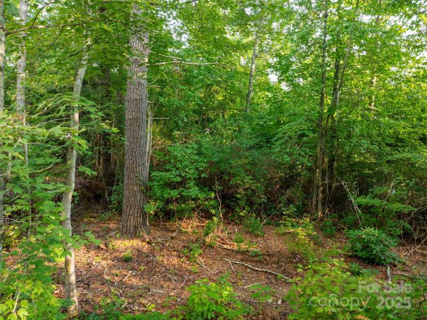 407 Melnick Terrace, Asheville, NC 28803.  MLS# CAR4296662, YatesRealty ID 34937. 