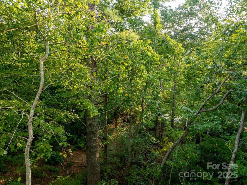 407 Melnick Terrace, Asheville, NC 28803.  MLS# CAR4296662, YatesRealty ID 34937. 