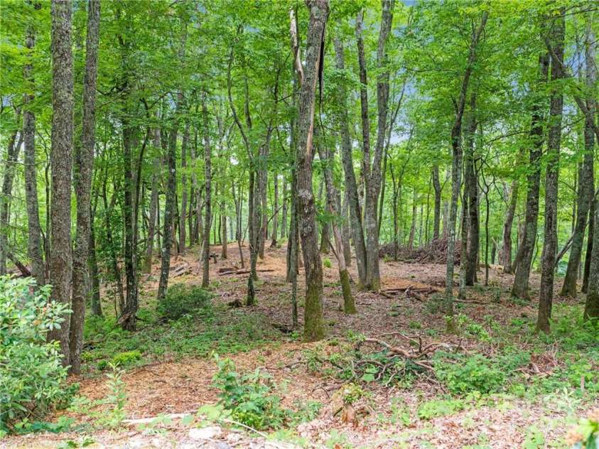 167 Bold Springs Road, Sylva, NC 28779.  MLS# CAR4226019, YatesRealty ID 350. 