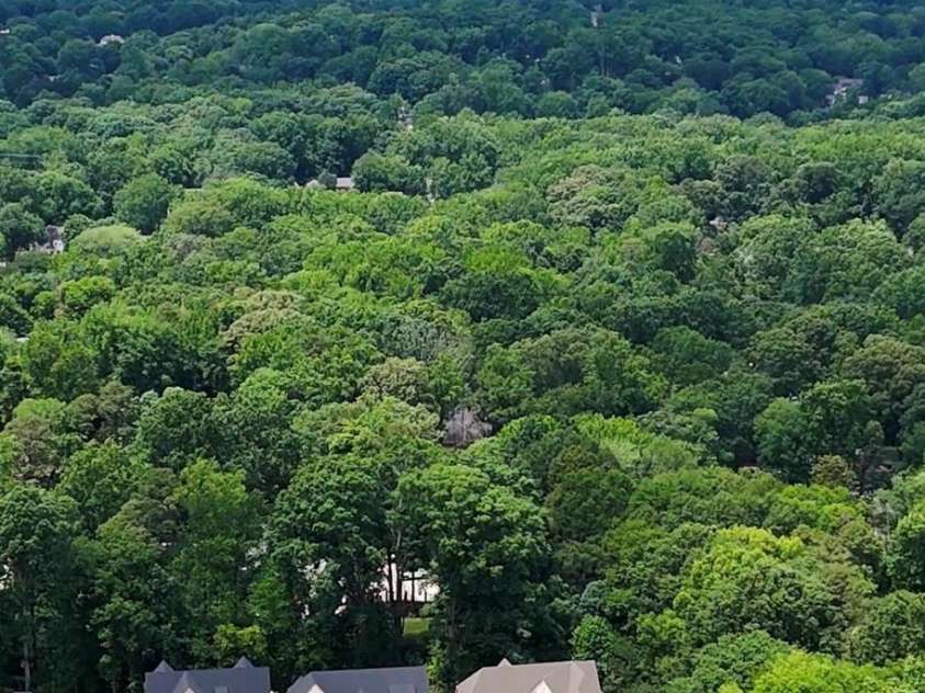 1226 Royal Prince Court, Charlotte, NC 28211.  MLS# CAR4349799, YatesRealty ID 35012. 