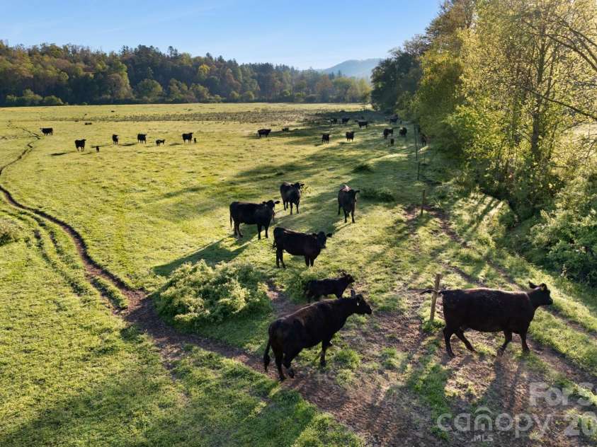 3903 Island Ford Road, Brevard, NC 28712.  MLS# CAR4137360, YatesRealty ID 3503. 